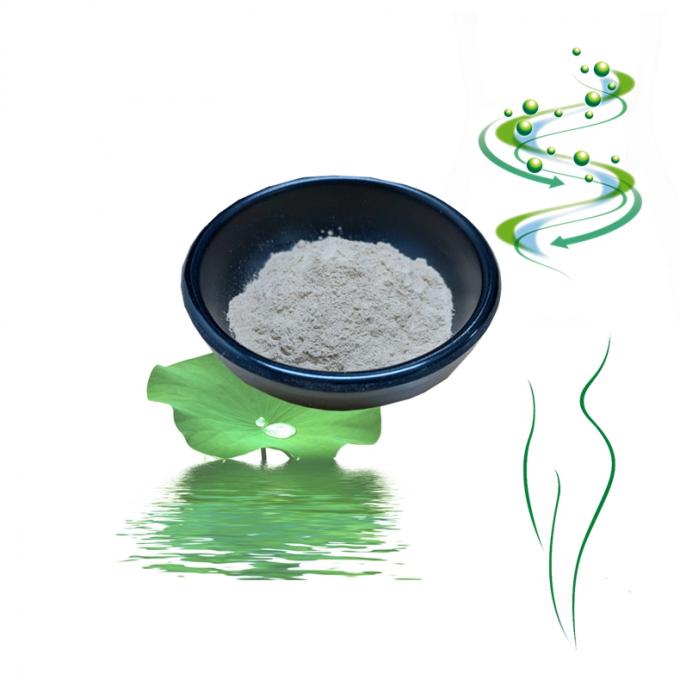 Lotus Flower Extract