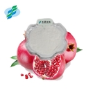 Ellagic Acid Pomegranate Peel Extract Water Soluble CAS 476-66-4 For Cosmetics