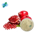 Ellagic Acid Pomegranate Peel Extract Water Soluble CAS 476-66-4 For Cosmetics