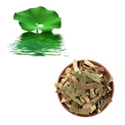 Lose Weight Lotus Leaf Extract Powder Nuciferine 50% Lowering Blood Lipids
