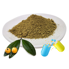 20% 30% Natural Herb Loquat Extract Corosolic Acid Plant Insulin Food Grade