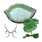 Cosmetics Use Weight Loss Additives Lotus Extract Nuciferine 98% Thin Face