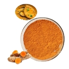 Yellow Natural Turmeric Root Extract 95% 98% Curcumin Extract Powder For Food