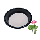 Natural Lotus Leaf Extract Powder 2% 5% Nuciferine For Slimming Diuretic Laxative