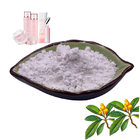 antioxidant Natural 50% 80% Ursolic Acid Powder