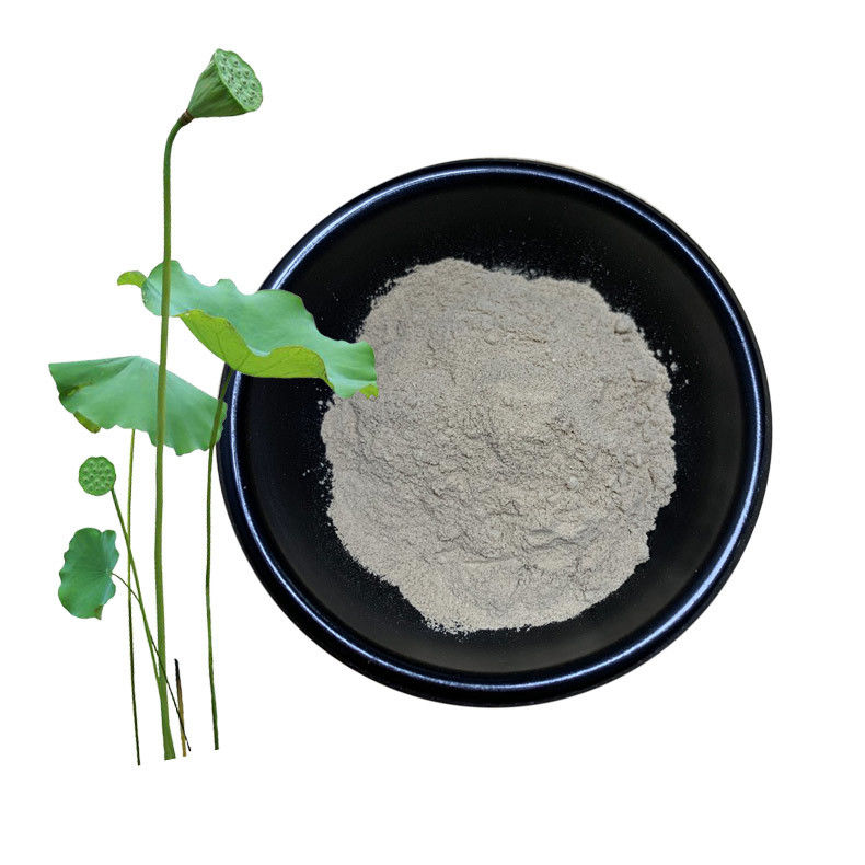 Lotus Leaf Herbal Extract Powder 10 50 98 For Dieting Weight Control