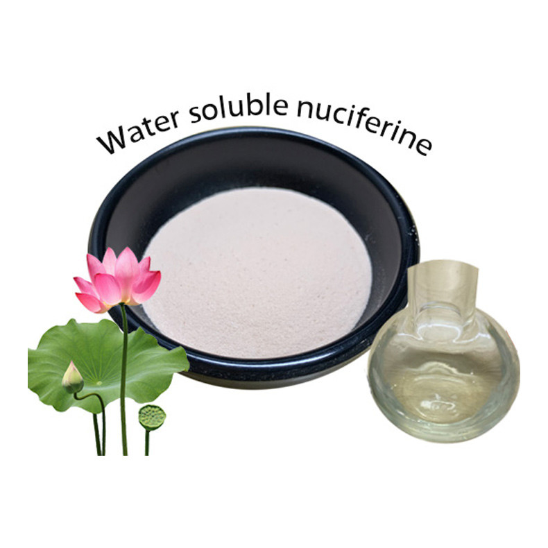 Water Soluble Lotus Leaf Extract Powder Nuciferine 2% 5% For Blood Lipids