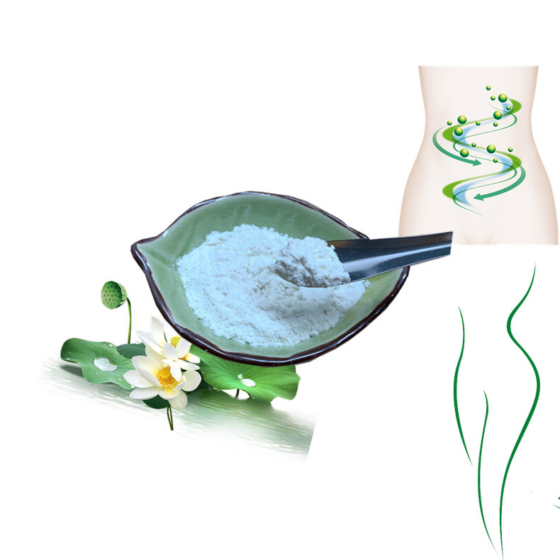 Lotus Herbal Extract Powder Nuciferine 98% Cas 475-83-2 Health Care Use