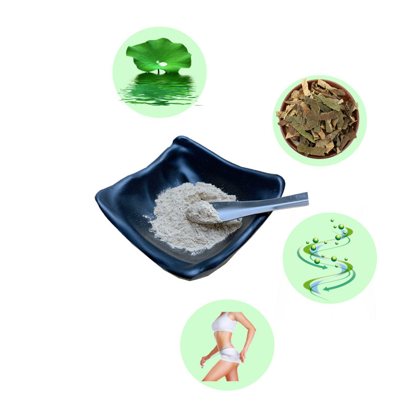 Commercial Lotus Flower Extract 50 Nuciferine Adjust Blood Lipid No
