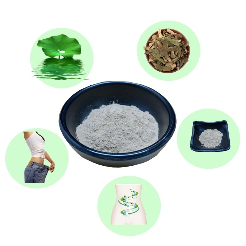 Natural Lotus Leaf Extract Powder Nuciferine 50 Promote Intestinal