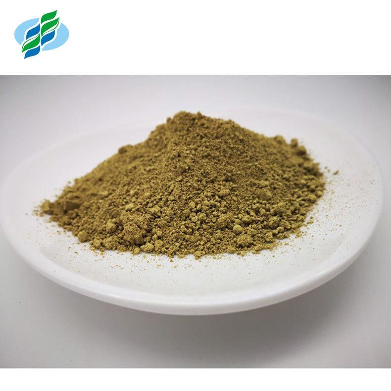 Plant Insulin Loquat Leaf Extract Corosolic Acid Powder 10