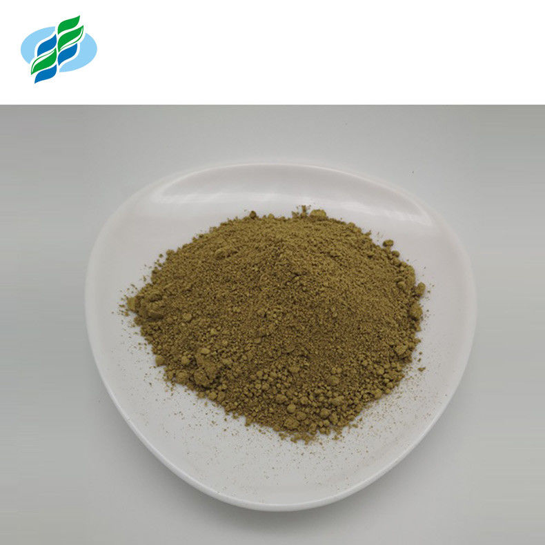 Plant Insulin Loquat Leaf Extract Corosolic Acid Powder 10