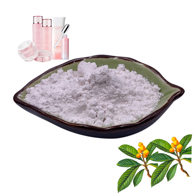 80% Cosmetic Raw Material Ursolic Acid Powder For Cosmetics Industry