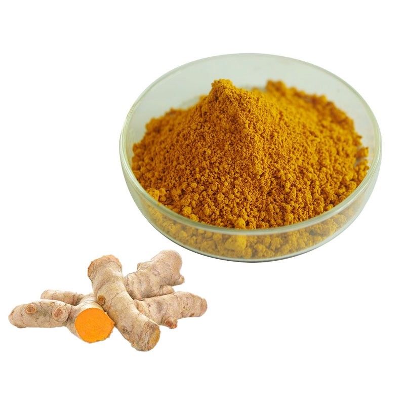 Curcumin 95 Turmeric Extract Powder For Healthcare Supplement Natural