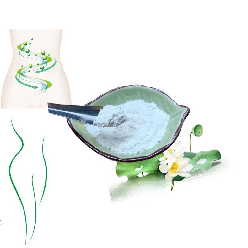 Lotus Extract Natural Raw Material 98% Nuciferine Heatstroke Treatment