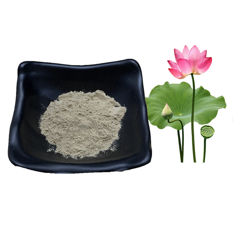 Water Soluble Lotus Natural Extracts Natural Slimming Powder 2% 5% Nuciferine