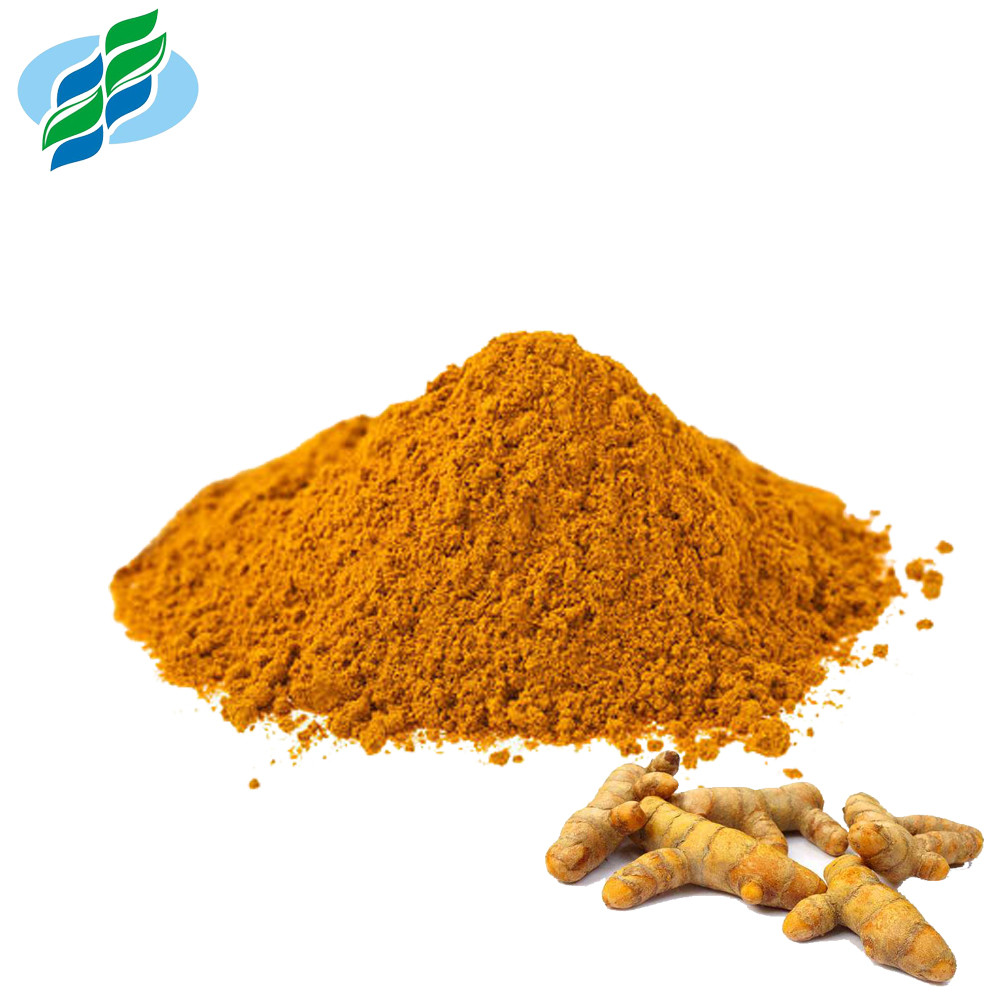 Orange Yellow Turmeric Root Extract 95% 98% Curcumin Extract Powder For ...