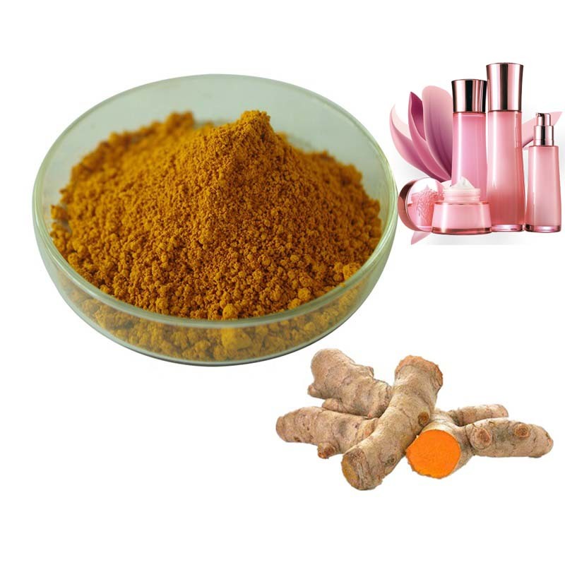 95% 98% Curcumin Turmeric Root Extract Powder Cas 458 37 7 Solvent ...