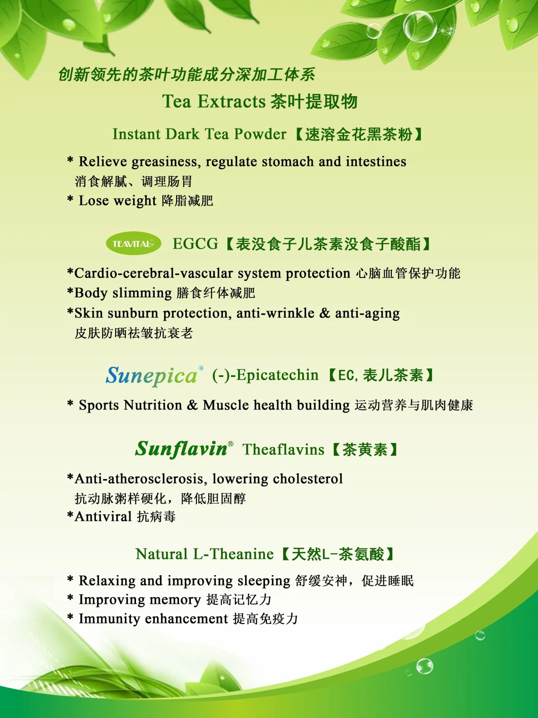 Green Tea Extract 90% 95% (-) - Epicatechin (EC) CAS 490-46-0
