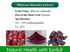 Hibiscus Extract