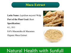 Maca Root Extract