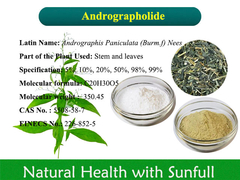 Andrographis Paniculata Extract Andrographolide 