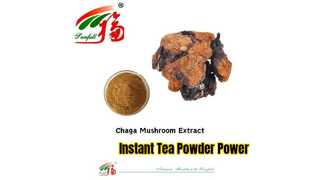 Mushroom Extract