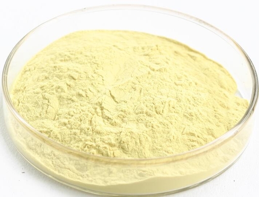 Natural Swertia Extract 40% 90% 95% Swertiamarin