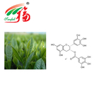 Pharmaceutical Green Tea Extract Powder 10%~98% EGCG Stuff Health Food