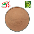 989-51-5 Green Tea Extract Powder 60% EGCG Epigallocatechin Gallate For Dietary Supplements
