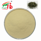 CAS  989-51-5 Green Tea Extract Powder 80% EGCG Epigallocatechin Gallate Use For Food Additive
