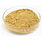 Natural Milk Thistle Extract 40% Silymarins Water Soluble Plant Extract Powder