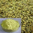 Natural Sophora Japonica Extract 95% Rutin CAS 153-18-4 Plant Extract Powder