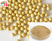 Health Food Herbal Plant Extract Powder Soy Bean Extract 40% Isoflavones