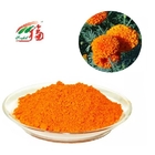 Natural Marigold Flower Extract Zeaxanthin Powder Herbal Plant Extract