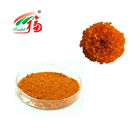 Natural Marigold Flower Extract 10% Lutein Herb Extract Powder