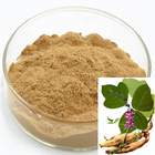 Kudzu Root Extract 40% 60% 80% 98% Puerarin Water Soluble Product