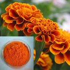 10% Lutein Marigold Flower Herb Extract Powder To Alleviate Age Pigment Degeneration