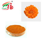 Marigold Flower Herbal Plant Extract 10% Lutein As Anti Inflammatory Function