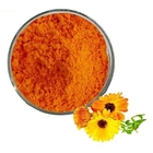 Marigold Flower Herbal Plant Extract 10% Lutein As Anti Inflammatory Function