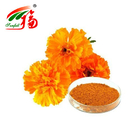 Natural Marigold Flower Extract 10% Lutein For Protecting The Retina