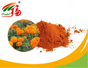Natural Marigold Flower Extract 10% Lutein For Blocking The Harmful Blue Light