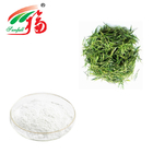 95% EC Green Tea Extract Powder As Muscle Builder For Pharmaceutical Materials