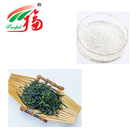 Food Additive Green Tea Extract Powder 95% EC As Fat Oxidizer