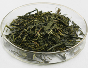 Food Additive Green Tea Extract Powder 95% EC As Fat Oxidizer