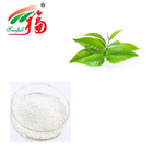 10%~98% EGCG Green Tea Extract Powder Pharmaceutical Anti Atherogenic