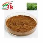Natural Green Tea Extract 10% L-Theanine Use For  Food And Beverage Ingredients