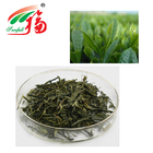 Natural Green Tea Extract 30% L-Theanine Meliorating flavor For Food Ingredients