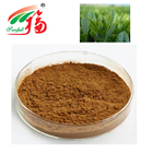 Natural Green Tea Extract 40% L-Theanine For Food And Beverage Ingredients