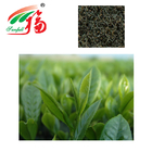 HACCP Natural Black Tea Extract NLT 20% Theaflavins For Food Additives